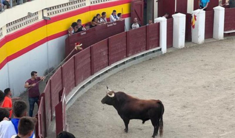 Canallada en la plaza de toros de Barbastro