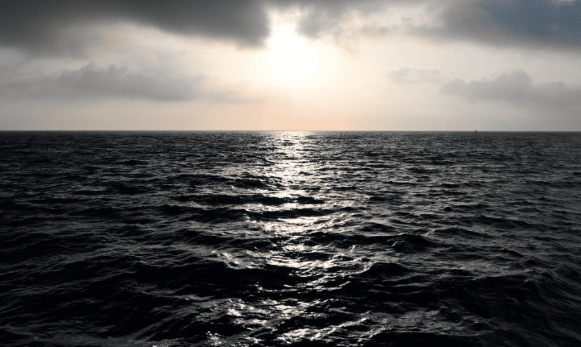 Las redes de arrastre devastan los suelos del Mediterráneo