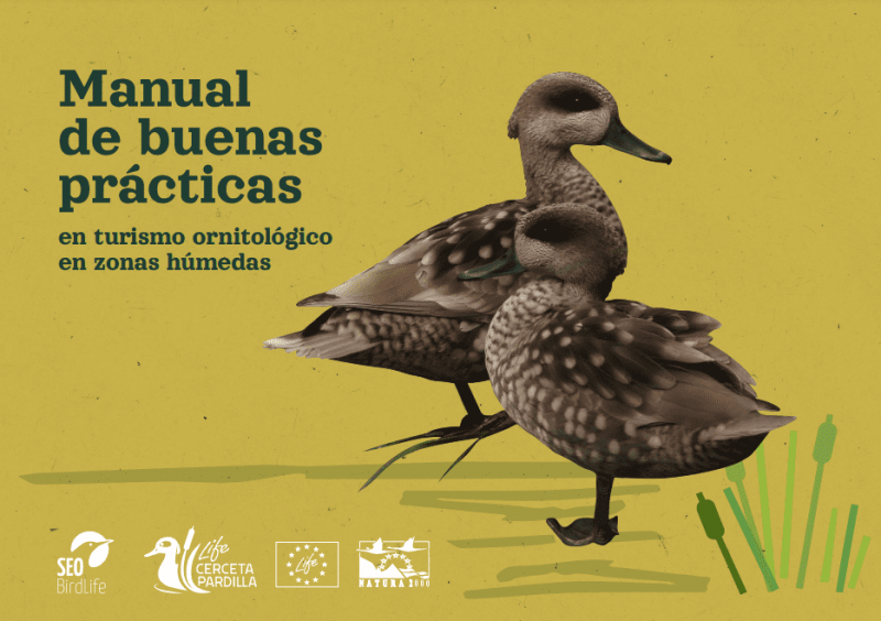 Turismo ornitológico amigable con los humedales