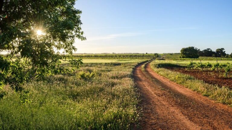 El sector agrario podrá prevenir los impactos del cambio climático
