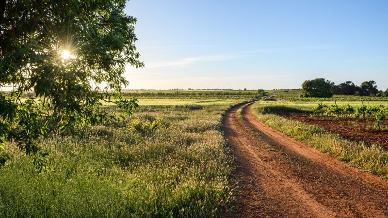 El sector agrario podrá prevenir los impactos del cambio climático