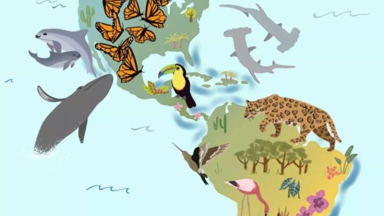 La importancia de la biodiversidad en América Latina y el Caribe