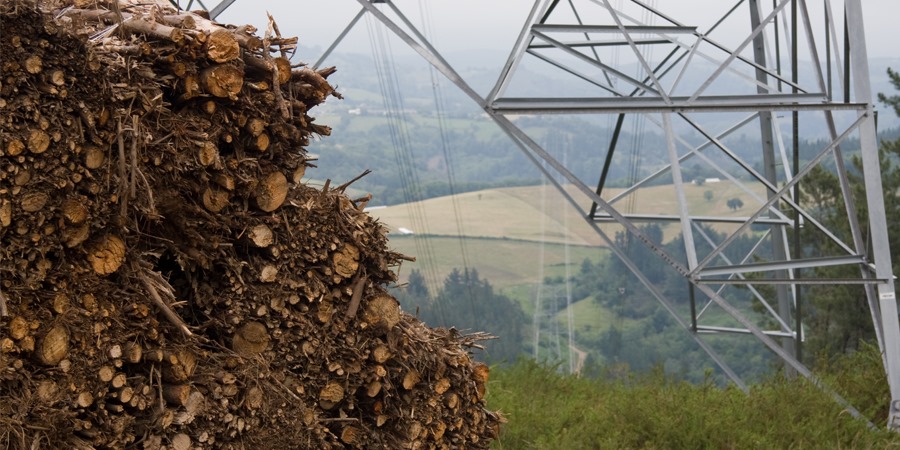 La participación de la bioenergía en el mix energético