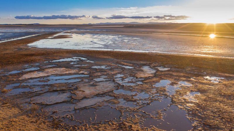 Living Lakes Europa: Salvar los lagos y humedales de Europa