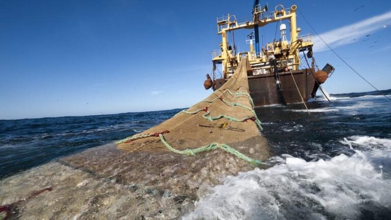 Luz y taquígrafos para los destrozos de la pesca de arrastre