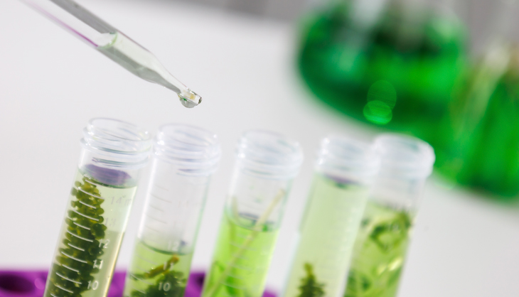 Nuevos bioproductos rentables y de alto valor