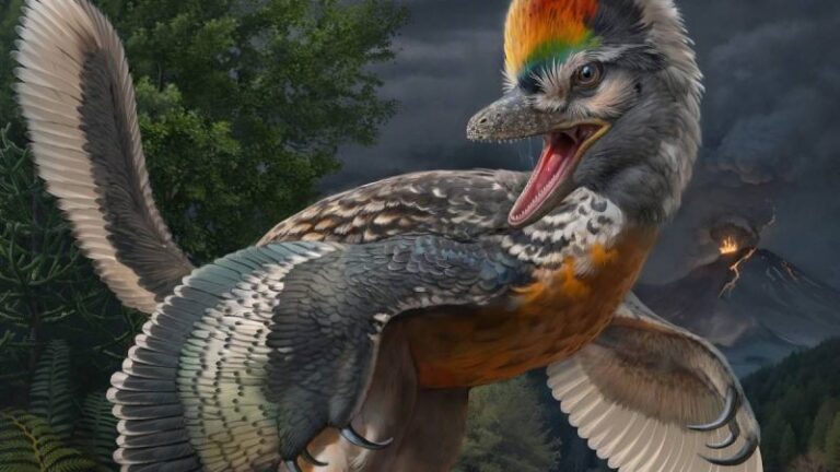 Nuevos datos sobre el origen de las aves