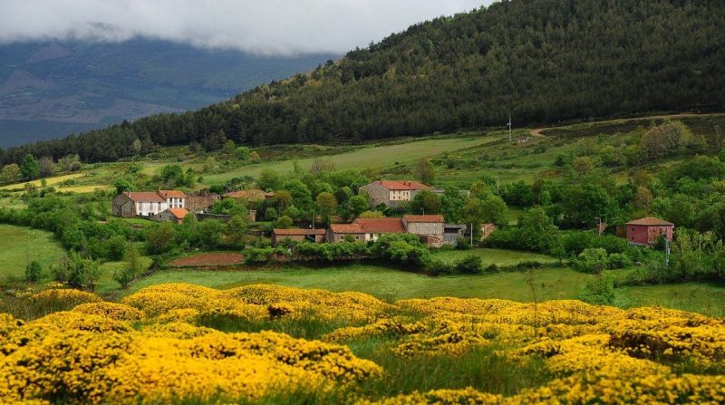 Proyecto LANDINM: Comprender los determinantes ecológicos