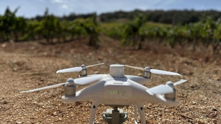 Qué es el proyecto europeo WineGRover