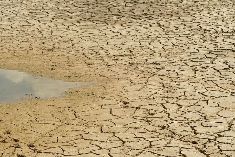 Europa se seca: 20% del territorio sufre estrés hídrico