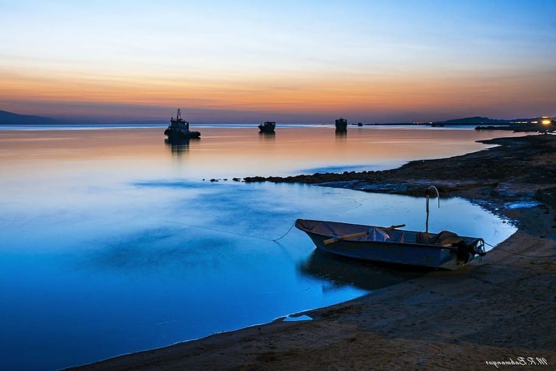 Ley de Restauración de la Naturaleza y los impactos de la pesca