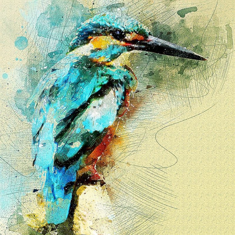 Día de las Aves: de las obras de arte a la extinción