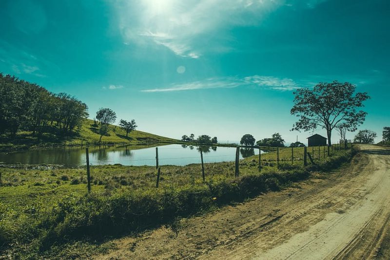 ¿Qué pasa con los gases de efecto invernadero en los estanques?