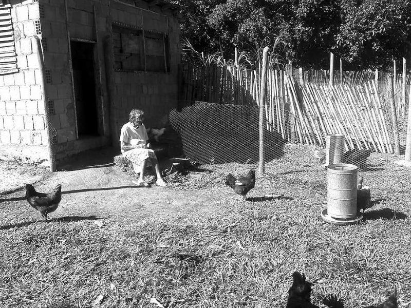 Este no es el clima de tu abuelo y seguirá cambiando