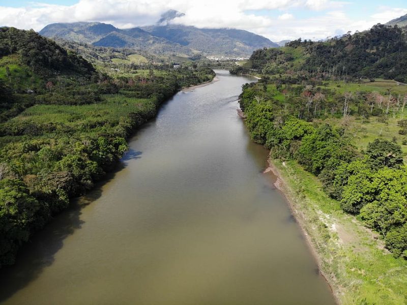 Árboles que cuentan la historia hídrica del río Amazonas