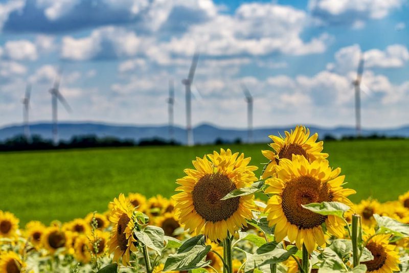 Propuestas de cambio para un PNIEC francamente mejorable