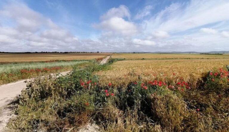 Agrifish Córdoba: más reformas y ni un paso atrás al Pacto Verde