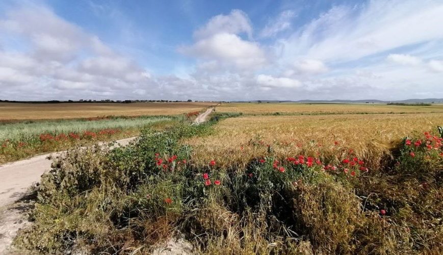 Agrifish Córdoba: más reformas y ni un paso atrás al Pacto Verde