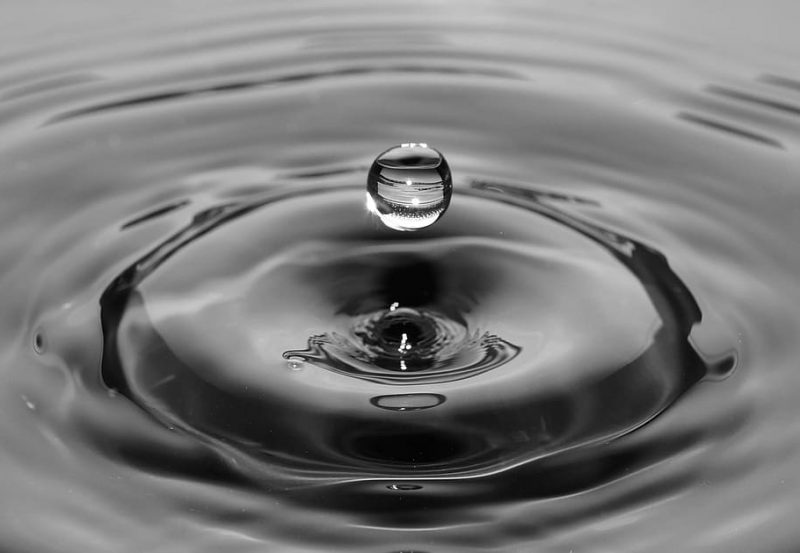 'Material vivo' impreso en 3D para limpiar el agua contaminada