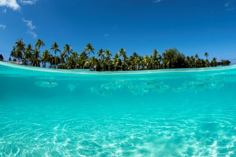 23ª reunión del Foro de Ministros de Medio Ambiente de LATAM