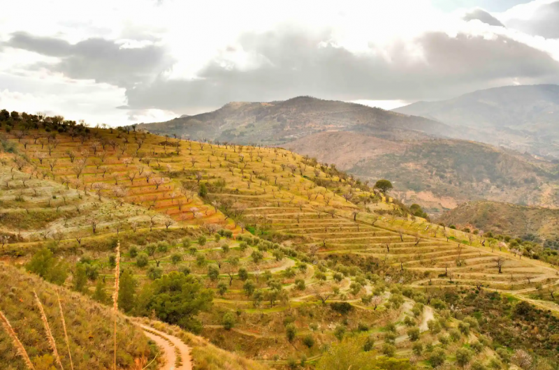 Metodología para conocer las propiedades hídricas del suelo