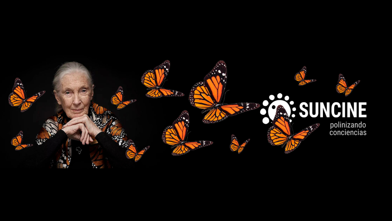 30º aniversario de SUNCINE