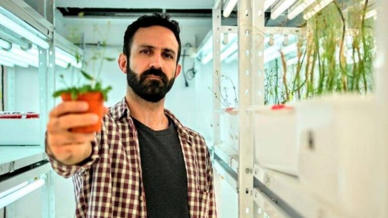 ARN: Se degrada rápidamente y ayuda a eliminar la plaga