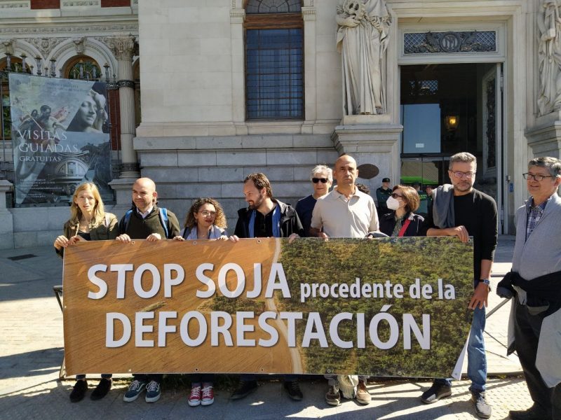 Activismo: Lucha para frenar los 'efectos' de la palma y la soja