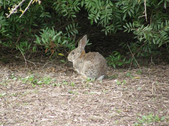 Bienvenida sea la reapertura del 'caso Vedas'