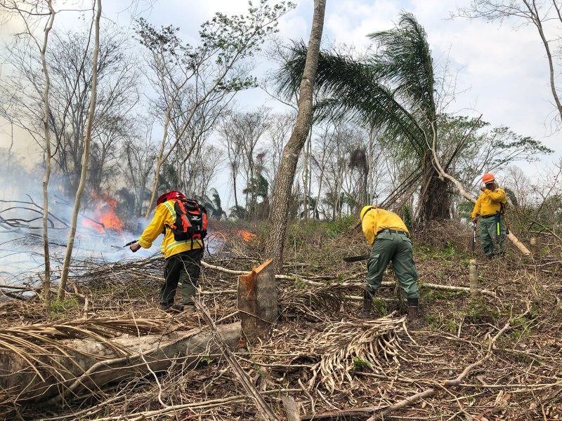 Bolivia 'arde' por los cuatro costados