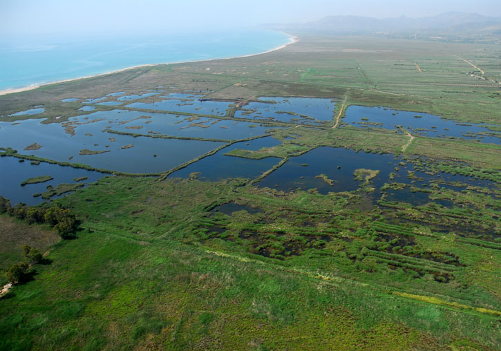 Cambio climático: Proyecto europeo LIFE Wetlands4Climate