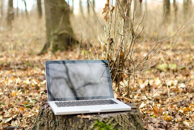 Cesefor presidirá el 'Forest Stewarship Council en España'