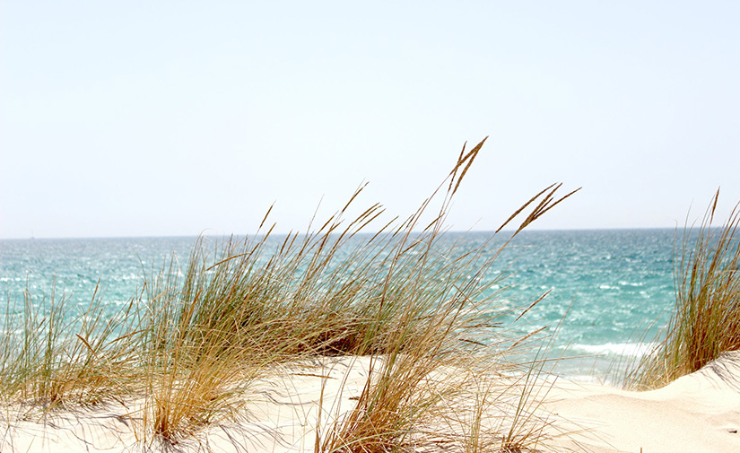 Congreso Ecoplayas 2023