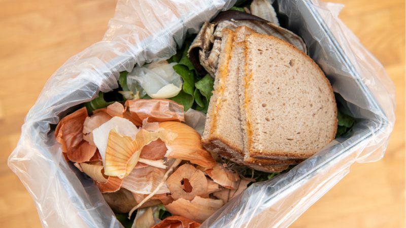 Desperdicio de alimentos: Agua, tierra, energía y mano de obra