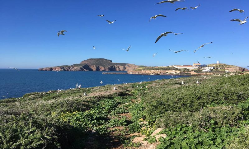 Destrozos en la Red Natura 2000 de Melilla