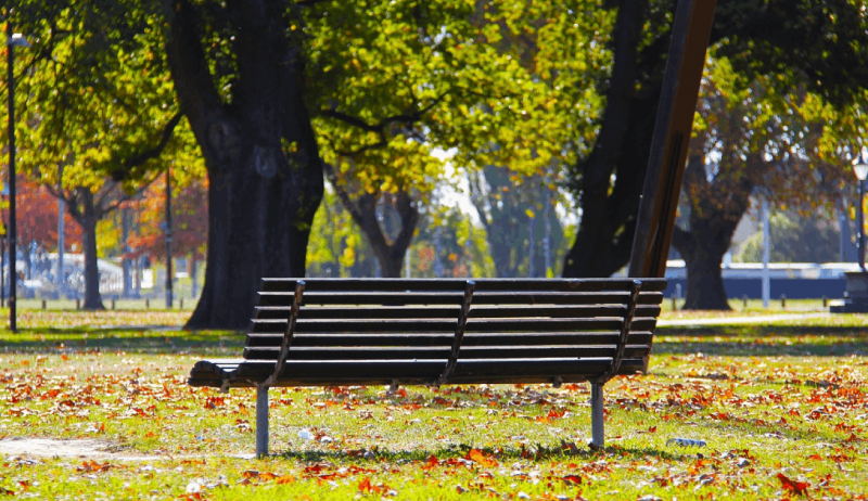 Día Mundial de las Ciudades: Es urgente su 'renaturalización'