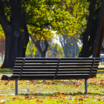 Día Mundial de las Ciudades: Es urgente su 'renaturalización'