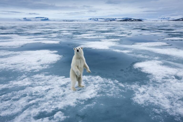 El cambio climático es real y lo genera el ser humano