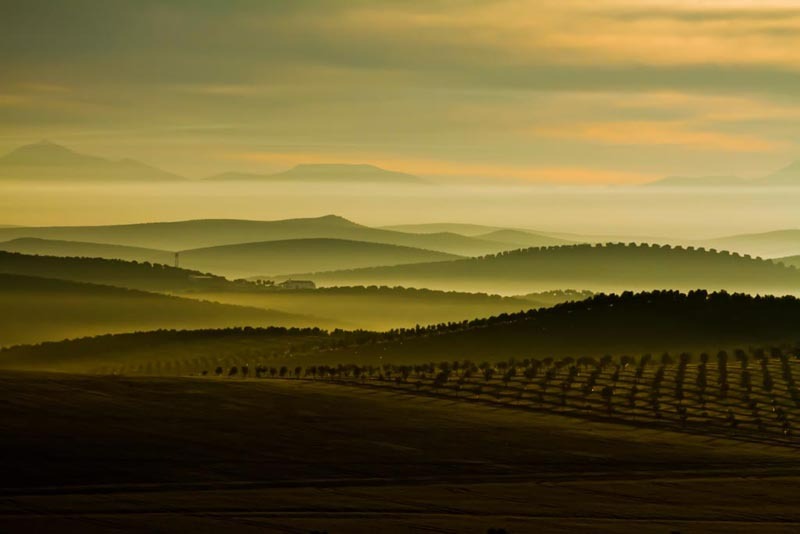 Todo sobre los XXVII Premios Andalucía de Medio Ambiente