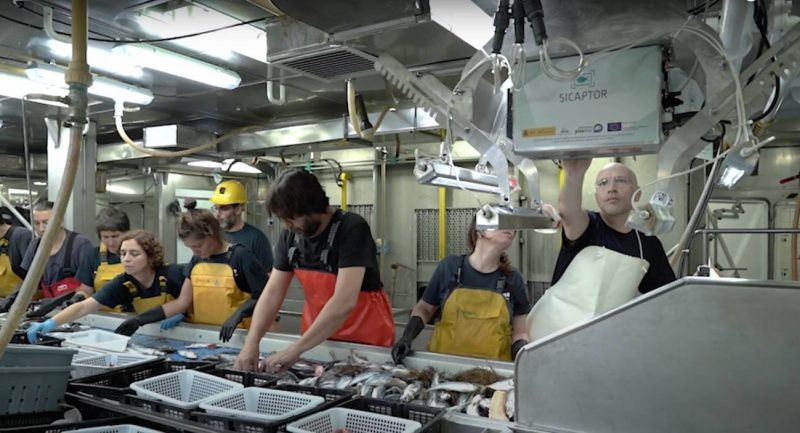 IA para la sostenibilidad en el sector de la pesca