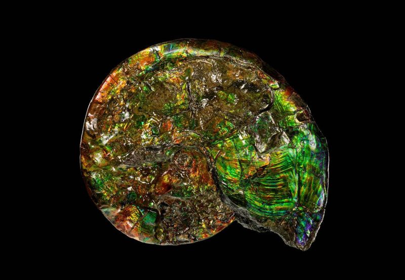 La nueva ley que faltaba en la naturaleza