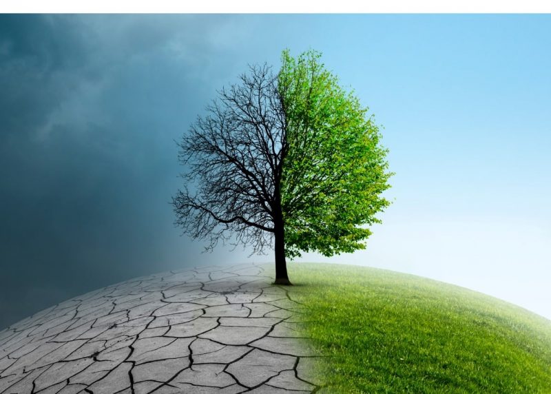 Las 'claves' para frenar el cambio climático