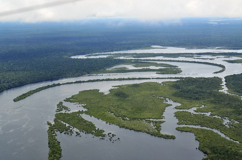 Los 'fallos' en las investigaciones de la Amazonia brasileña