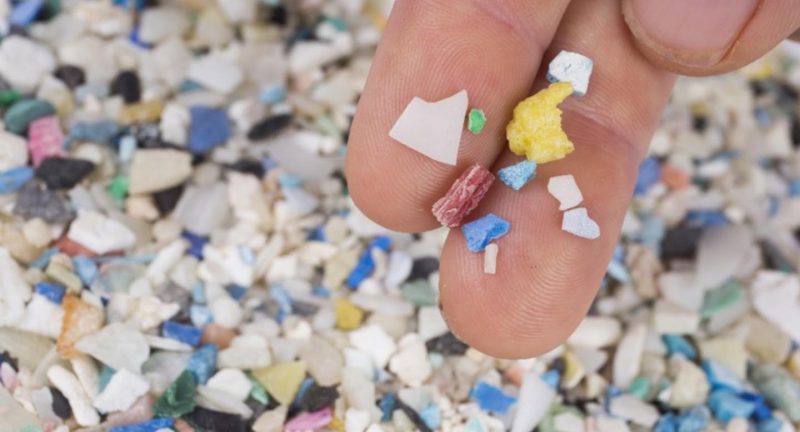 Los microplasticos han invadido los ecosistemas terrestres