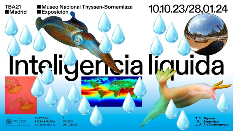 Museo Thyssen-Bornemisza: Exposición 'Inteligencia líquida'