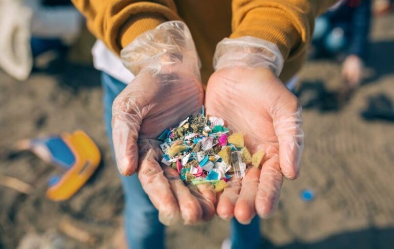Novedades sobre la descomposición de los plásticos