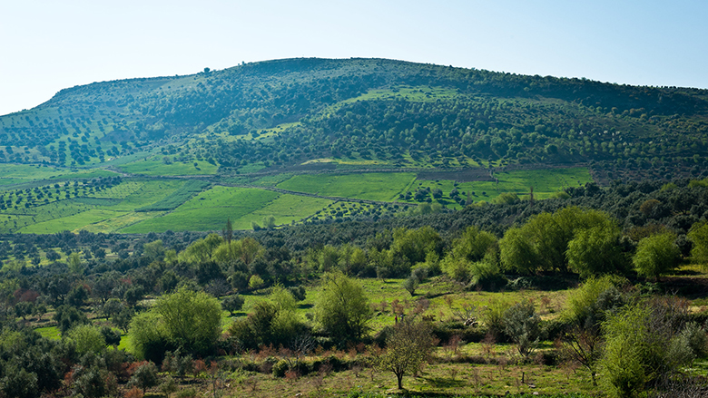 Promover la bioconstrucción y los paisajes resilientes en Cataluña