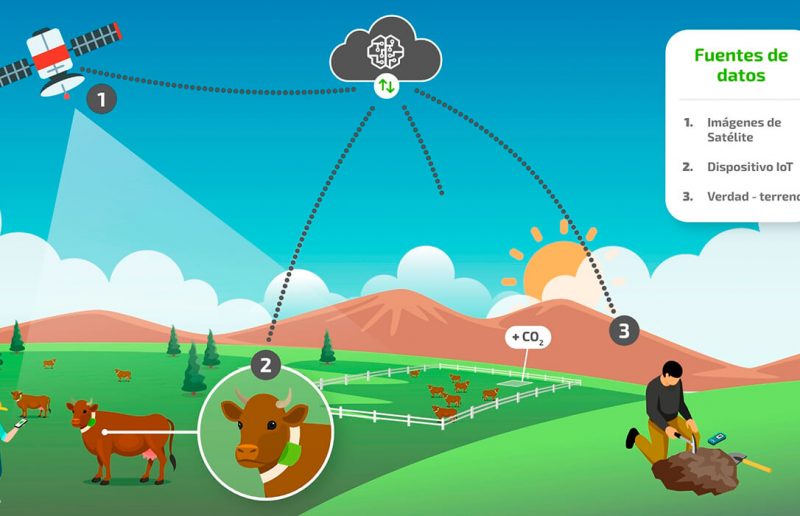 Proyecto Airegan: IA para reducir la huella de carbono