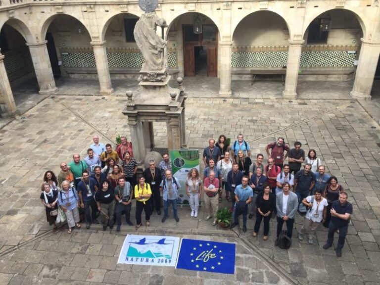 Proyecto Life Biorgest: Gestión forestal sostenible y biodiversidad