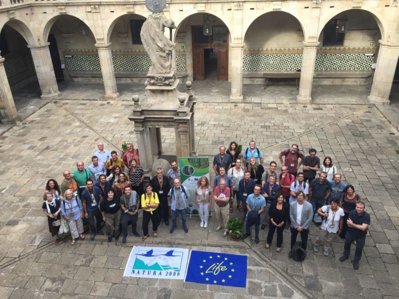 Proyecto Life Biorgest: Gestión forestal sostenible y biodiversidad